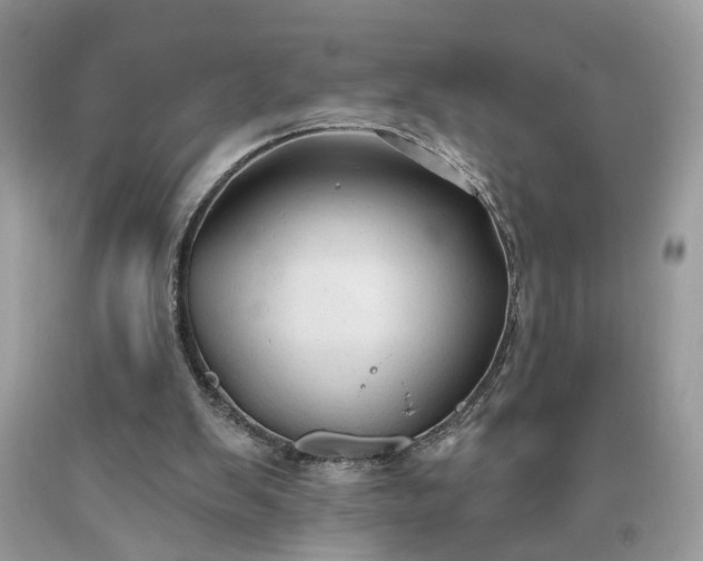 X0000093470103200710261052