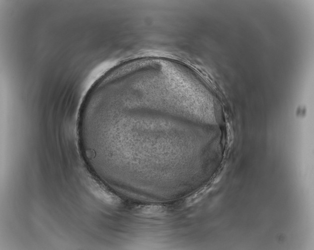 X0000093470104200710261052