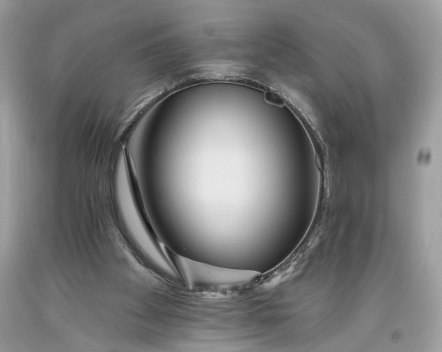 X0000093470105200710261052