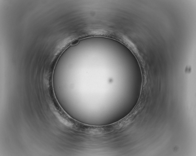 X0000093470106200710261052