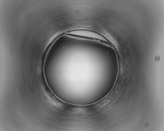 X0000093470107200710261052