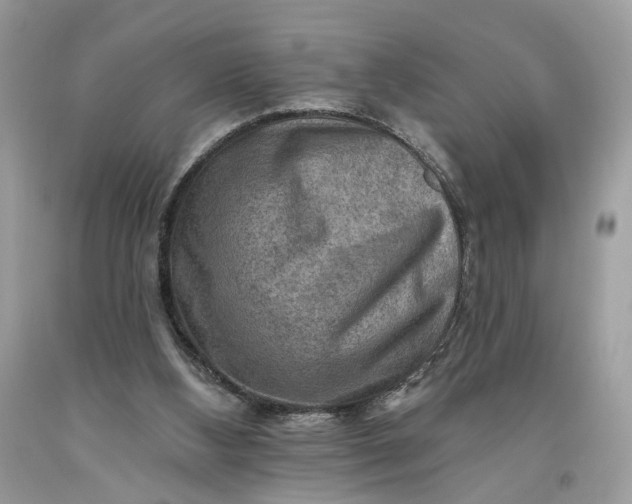 X0000093470108200710261052