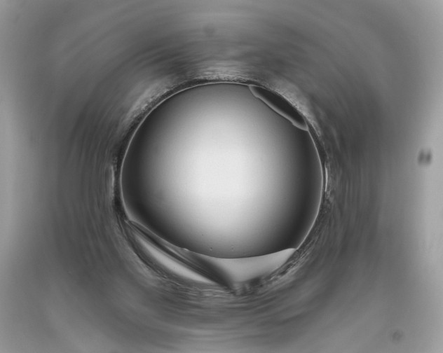 X0000093470109200710261052