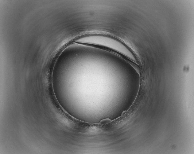 X0000093470111200710261052