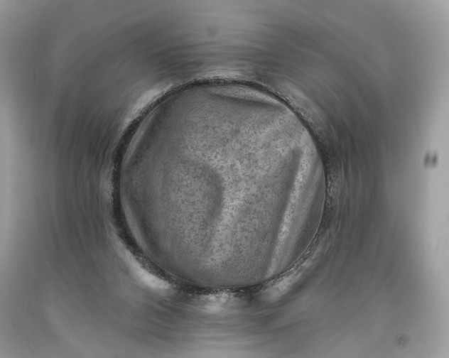 X0000093470112200710261052