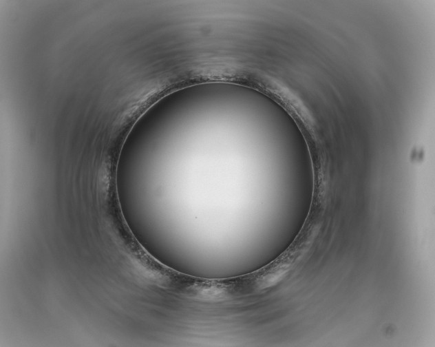 X0000093470113200710261052