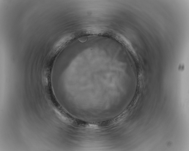 X0000093470114200710261052