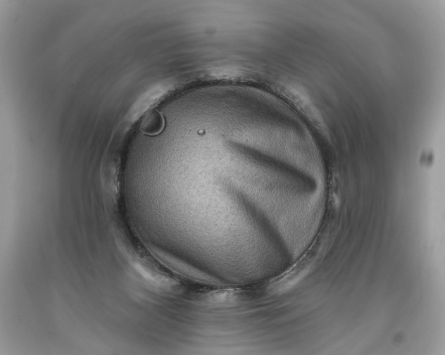 X0000093470116200710261052