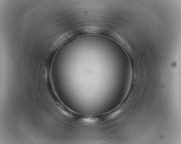 X0000093470117200710261052