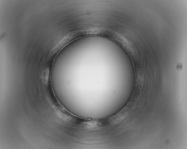 X0000093470118200710261052