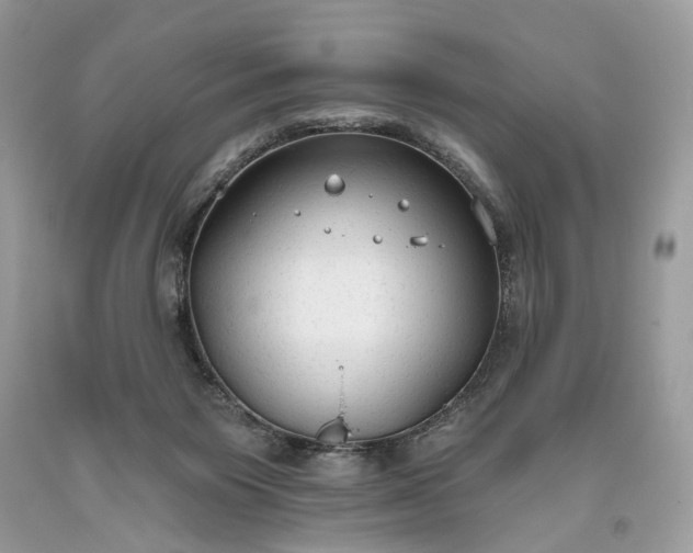 X0000093470119200710261051