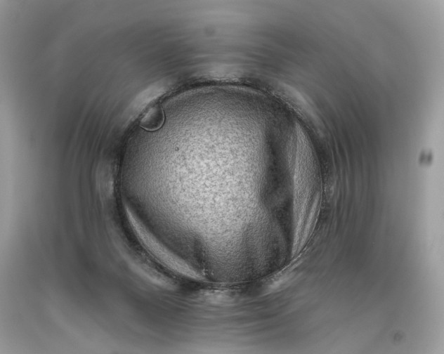 X0000093470120200710261051