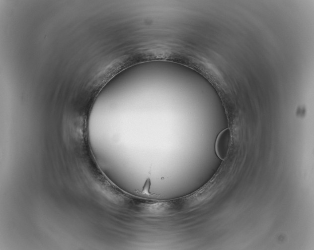 X0000093470122200710261051