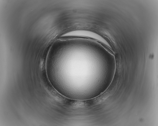 X0000093470123200710261051