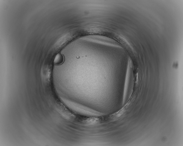 X0000093470124200710261051