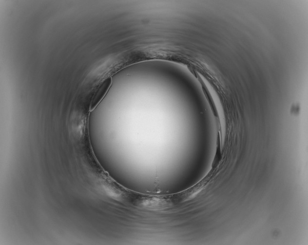 X0000093470125200710261051