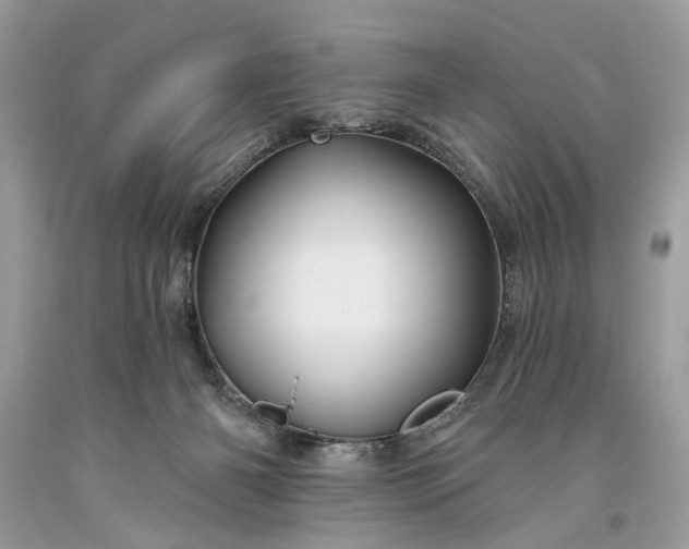 X0000093470126200710261051