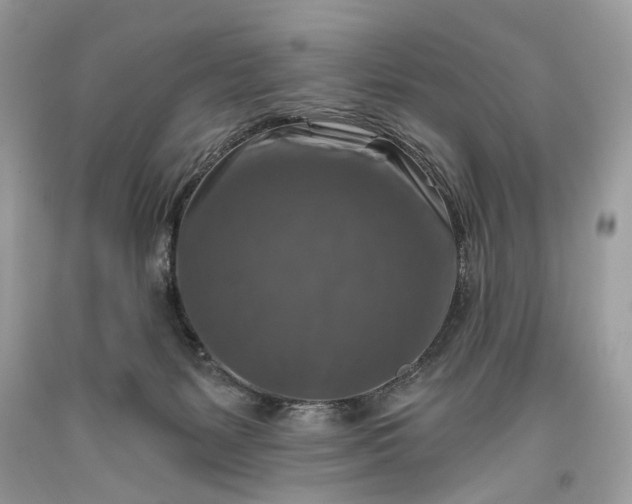 X0000093470127200710261051