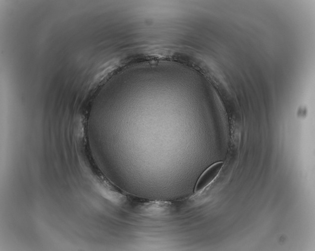 X0000093470128200710261051