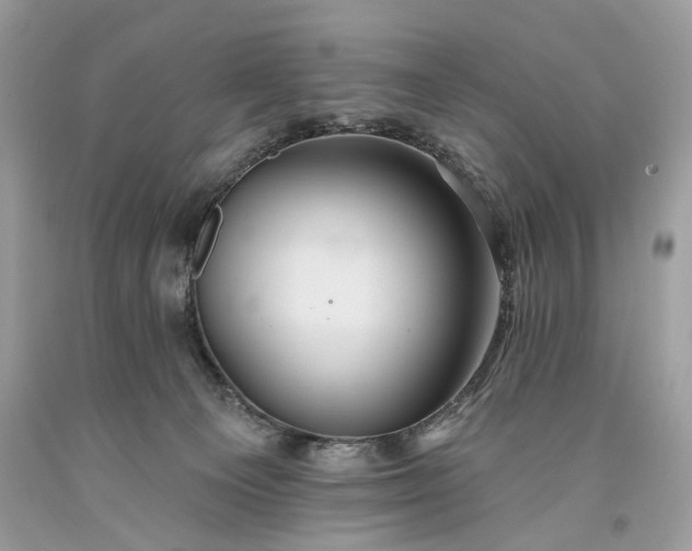 X0000093470129200710261051