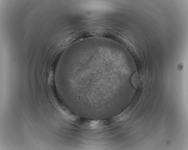 X0000093470130200710261051