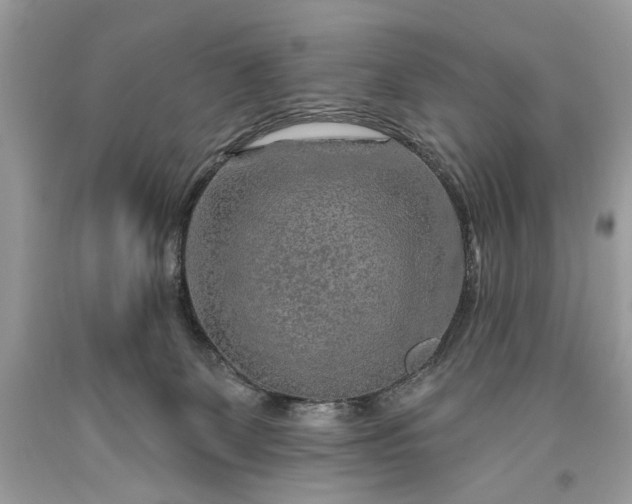 X0000093470131200710261051