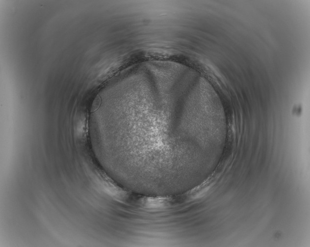 X0000093470134200710261051