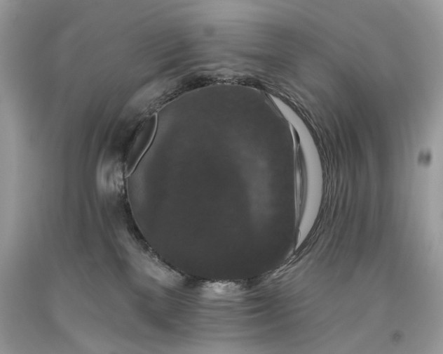 X0000093470137200710261051