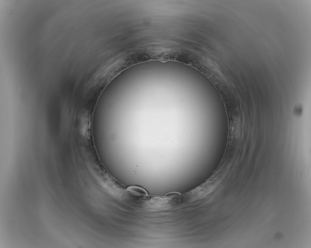 X0000093470138200710261051