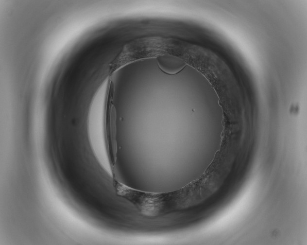 X0000093470143200710261051