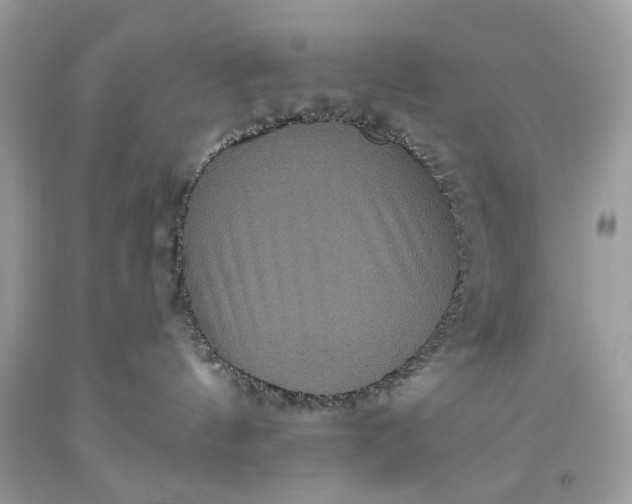 X0000093470144200710261051