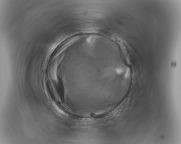 X0000093470145200710261050