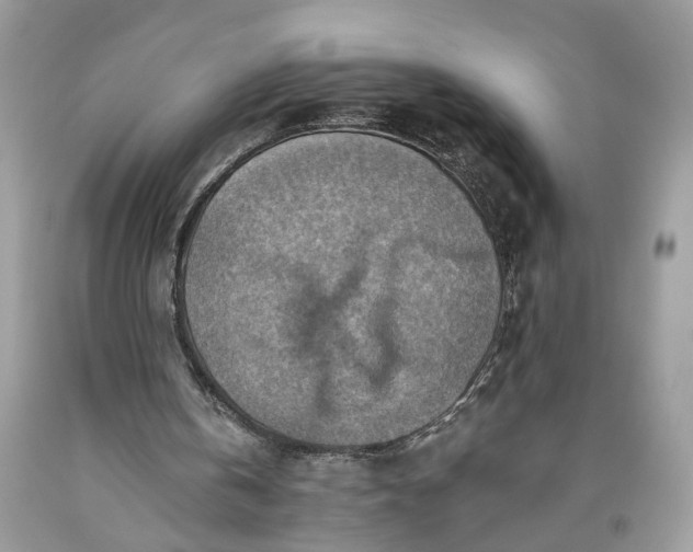 X0000093470146200710261050