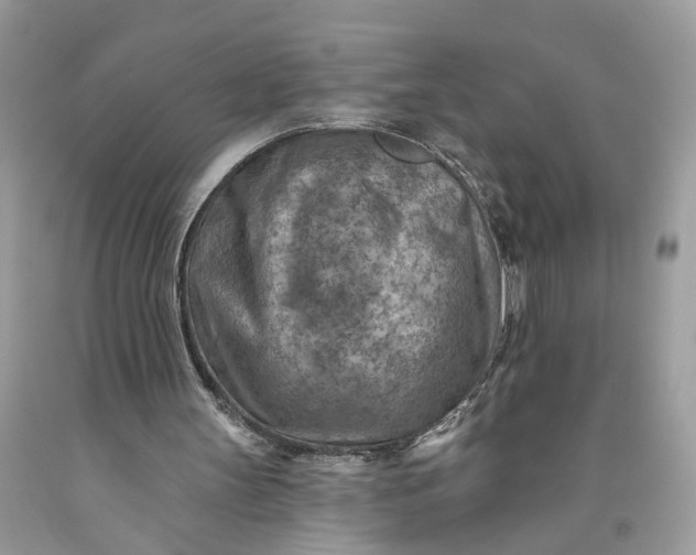 X0000093470147200710261051