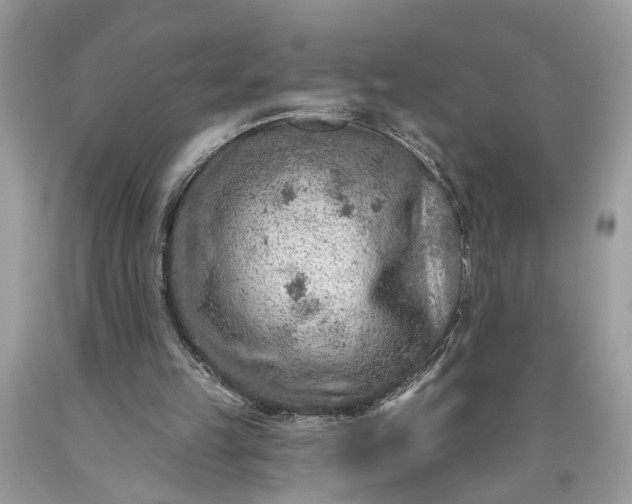 X0000093470149200710261051