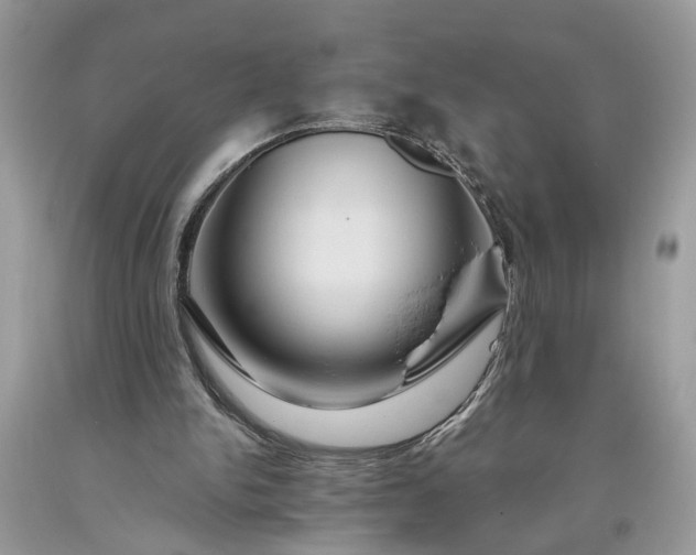 X0000093470150200710261051