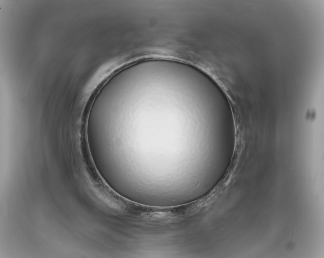 X0000093470151200710261051