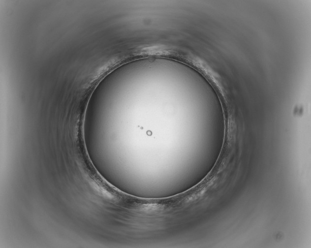 X0000093470153200710261051