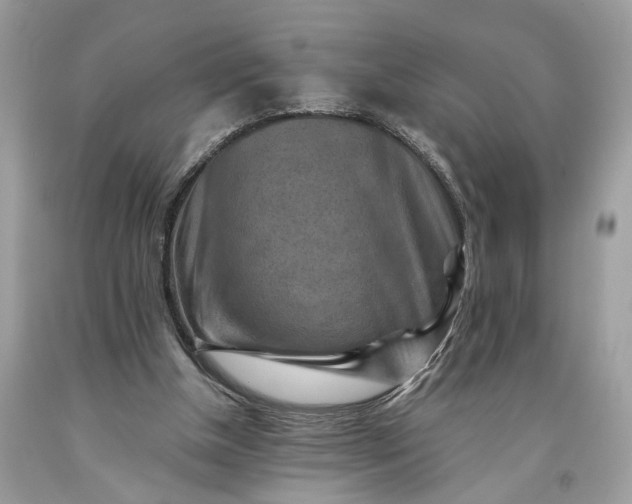 X0000093470154200710261051