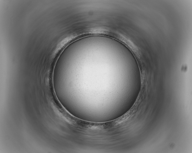 X0000093470155200710261051