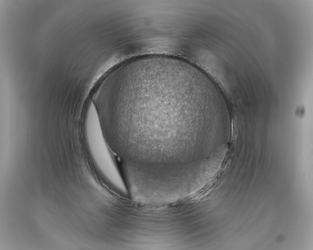 X0000093470156200710261051