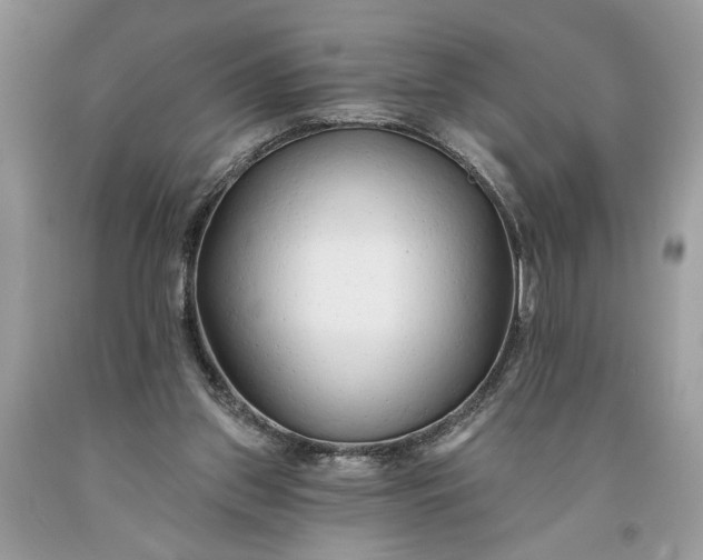 X0000093470157200710261051