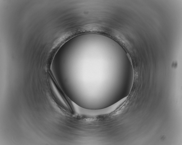 X0000093470158200710261051