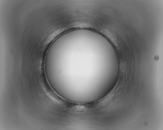 X0000093470159200710261051