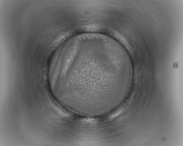 X0000093470161200710261051