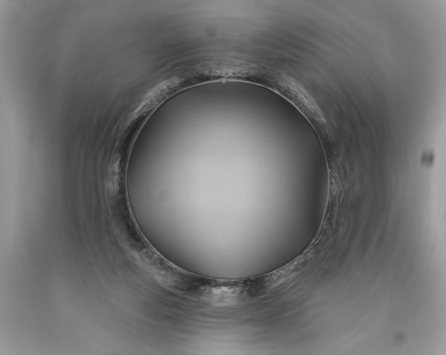 X0000093470163200710261051