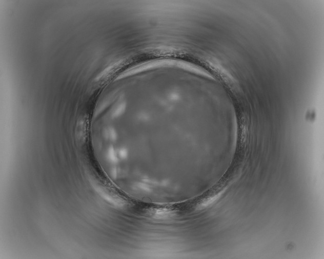 X0000093470165200710261051