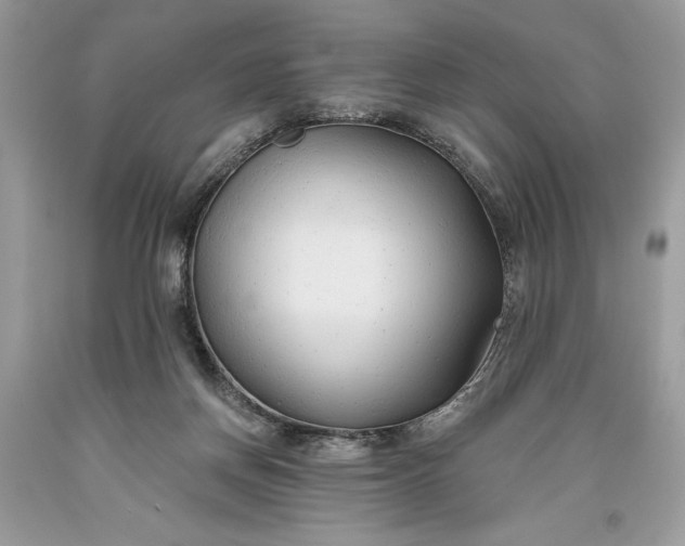 X0000093470166200710261051