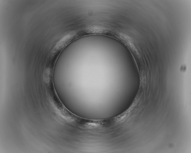 X0000093470167200710261051