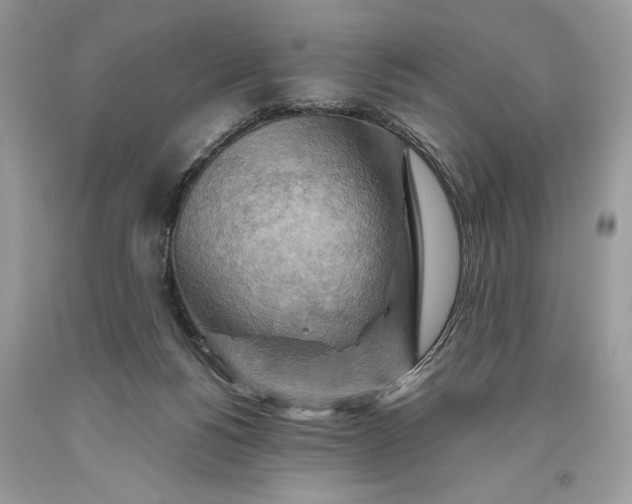 X0000093470168200710261051